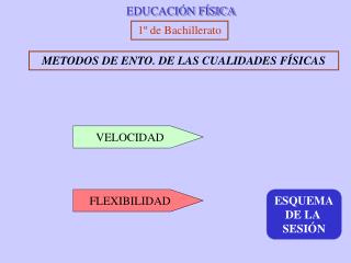 EDUCACIÓN FÍSICA