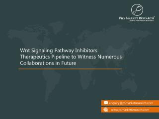 Wnt Signaling Pathway Inhibitors Therapeutics - Pipeline Analysis, 2017
