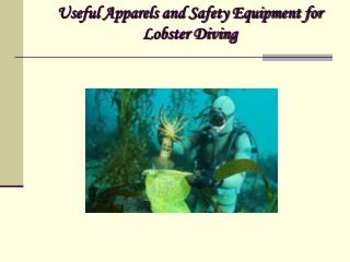 Useful Apparels and Safety Equipment for Lobster Diving