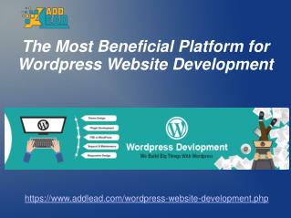 Wordpress Websites Development Company Delhi