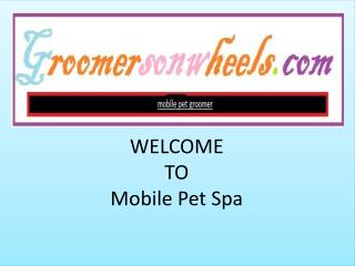 home service for dog pet grooming