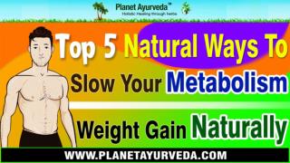 Top 5 Natural Ways To Slow Your Metabolism | Weight Gain Naturally