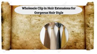 Wholesale Clip in Hair Extensions for Gorgeous Hair Style