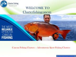 Cancun Sport Fishing and Deep Sea Fishing Tours - Cancun Fishing Charters