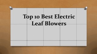 Top 10 best electric leaf blowers