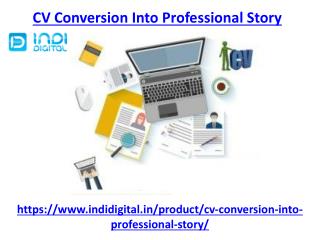 Find CV conversion into Professional Story