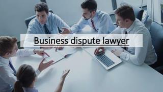 Business dispute lawyer