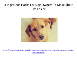 3 Ingenious Hacks For Dog Owners To Make Their Life Easier