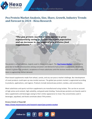 Worldwide Pea Protein Market Will Witness Rapid Growth Till 2024