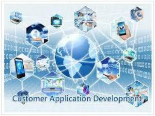 Custom Application Development Company in India â€“Microweb Systems