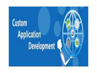 Custom Application Development in Data Processing System