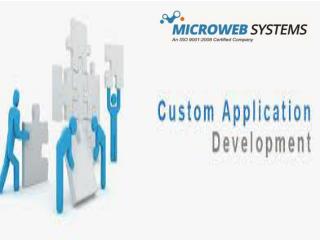 CUSTOM APPLICATION DEVELOPMENT -Microweb Systems