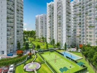Residential Property in Dwarka Expressway