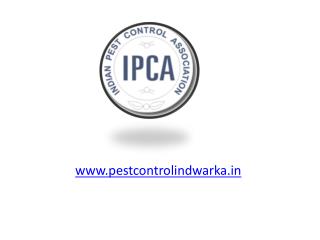 Professional Pest Control Services in Delhi