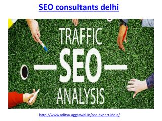 Find the best SEO consultants in delhi