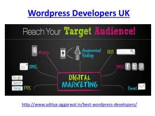 Get the best wordpress developers uk