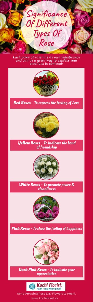 Significance of Differnet Types of Roses