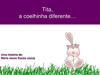 Tita, a coelhinha diferente…