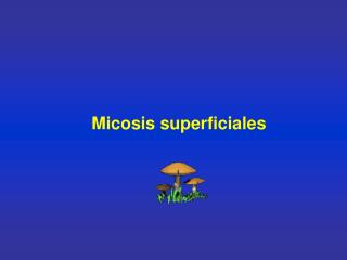 Micosis superficiales