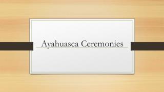 Ayahuasca Ceremonies