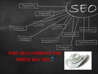 SEO Expert Services Singapore Best SEO Company in Singapore