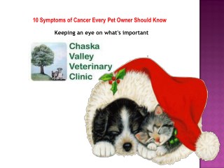 10 Symptoms of Cancer Every Pet Owner Should Know - Chaska Valley Veterinary Clinic.