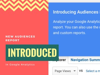 New Audiences Report Introduced in Google Analytics
