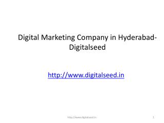 Digital Marketing Company in Hyderabad- Digitalseed