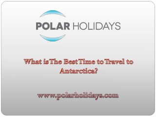 What is The Best Time to Travel to Antarctica?