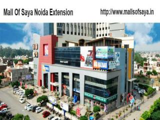 Mall Of Saya Lavish Shops in Noida Extension