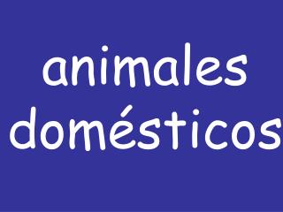 animales domésticos