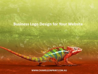 Business Logo Design for Your Website - Chameleon Print Group