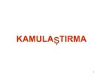 KAMULASTIRMA