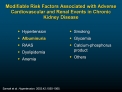 Modifiable Risk Factors Associated with Adverse Cardiovascular and Renal Events in Chronic Kidney Disease