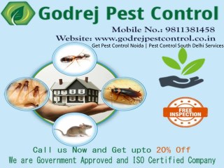 Get Pest Control Noida | Pest Control South Delhi Services