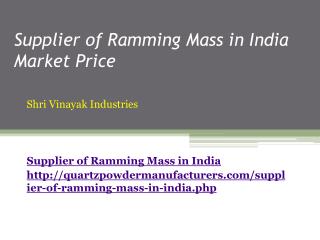 Supplier of Ramming Mass in India Market Price