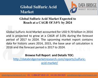 Global Sulfuric Acid Market