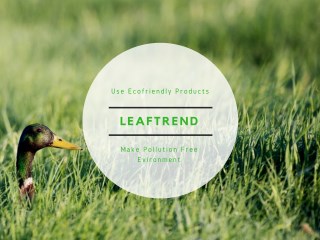 Leaftrend - Use Ecofriendly Products and Make Pollution Free Environment