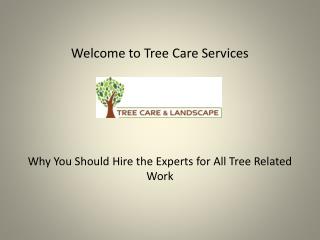 Tree Trimming in Sacramento at cisnerostreecare.com