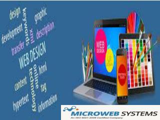 Microweb Systems - Application Development Company in India