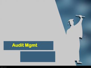 What is audit programme Discuss the advantages and disadvantages of conducting an audit according to a predetermined aud