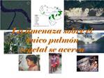 La amenaza sobre el nico pulm n vegetal se acerca