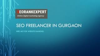 Seo freelancer in gurgaon and hyderabad