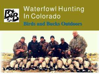 Waterfowl Hunting In Colorado