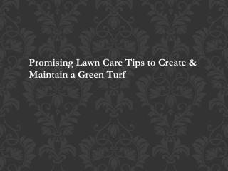 Lawn Care Norman OK