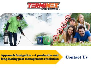 Approach fumigation â€“ A productive and long-lasting pest management resolution