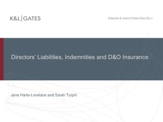 Directors’ Liabilities, Indemnities and D&amp;O Insurance