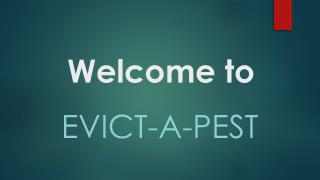 Evict a Pest