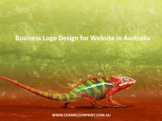 Business Logo Design for Website in Australia - Chameleon Print Group
