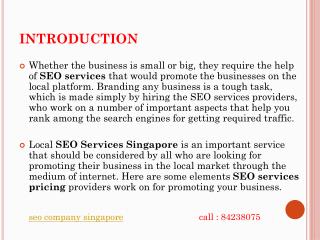 SEO service agency -singapore.